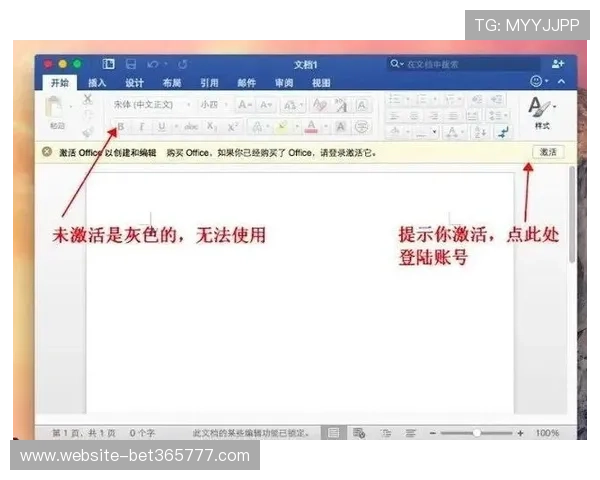 选择合适的365的备用网址的注意事项及实用技巧总结