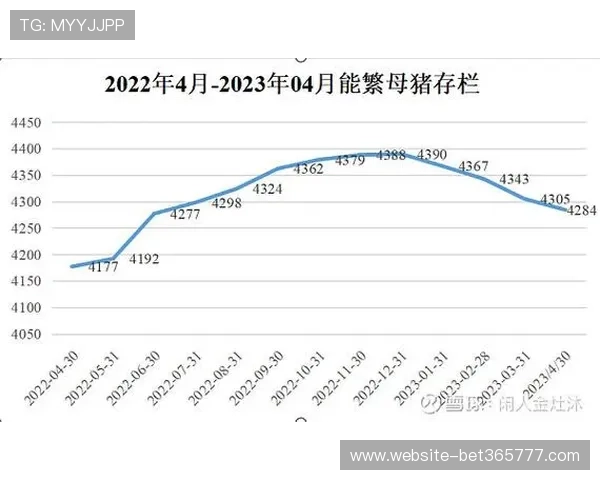 365体育中文网通过专业分析解读体育赛事走势，为运动爱好者提供实用的投注决策参考